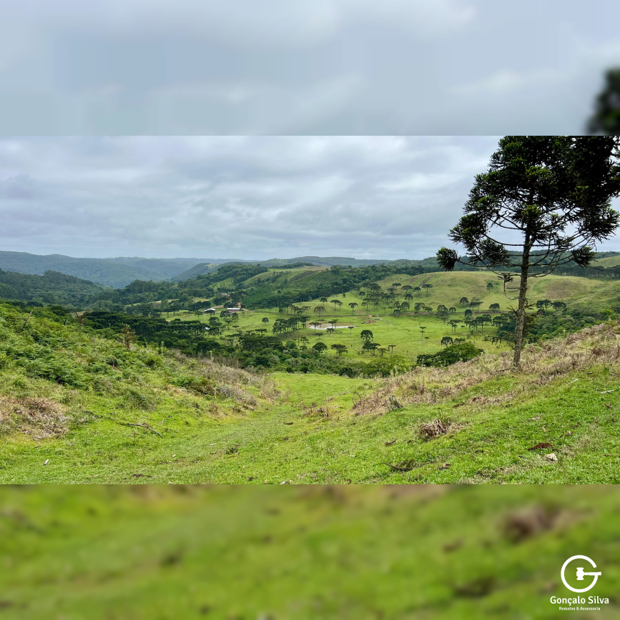 Fazenda de 445 Hectares em Riozinho