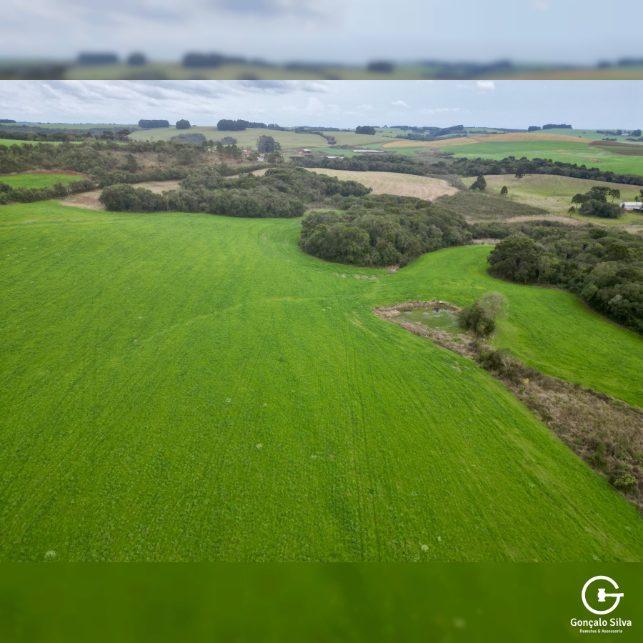 Área rural com 52 Hectares em Vacaria