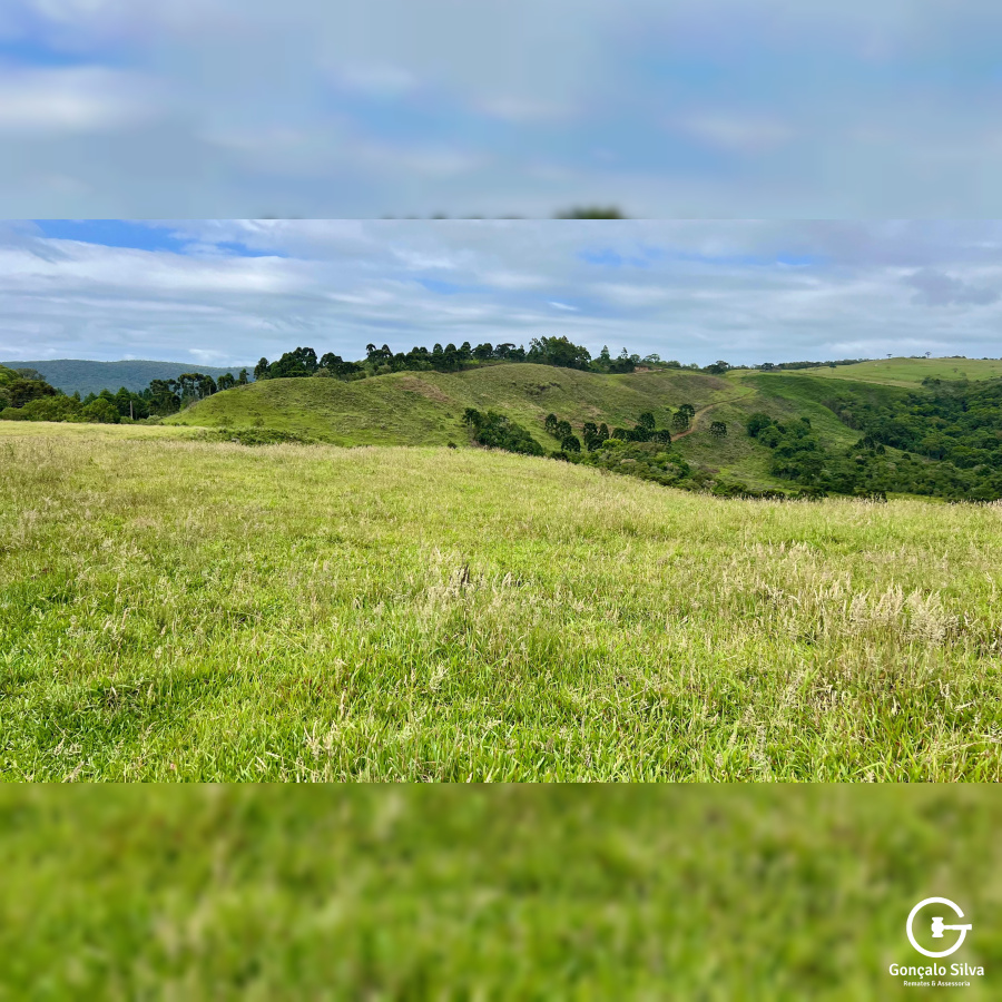 Fazenda de 445 Hectares em Riozinho