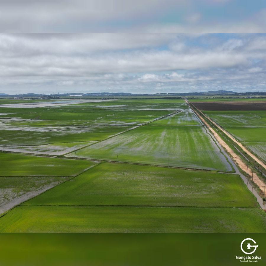 Área com 223 Hectares em Eldorado do Sul