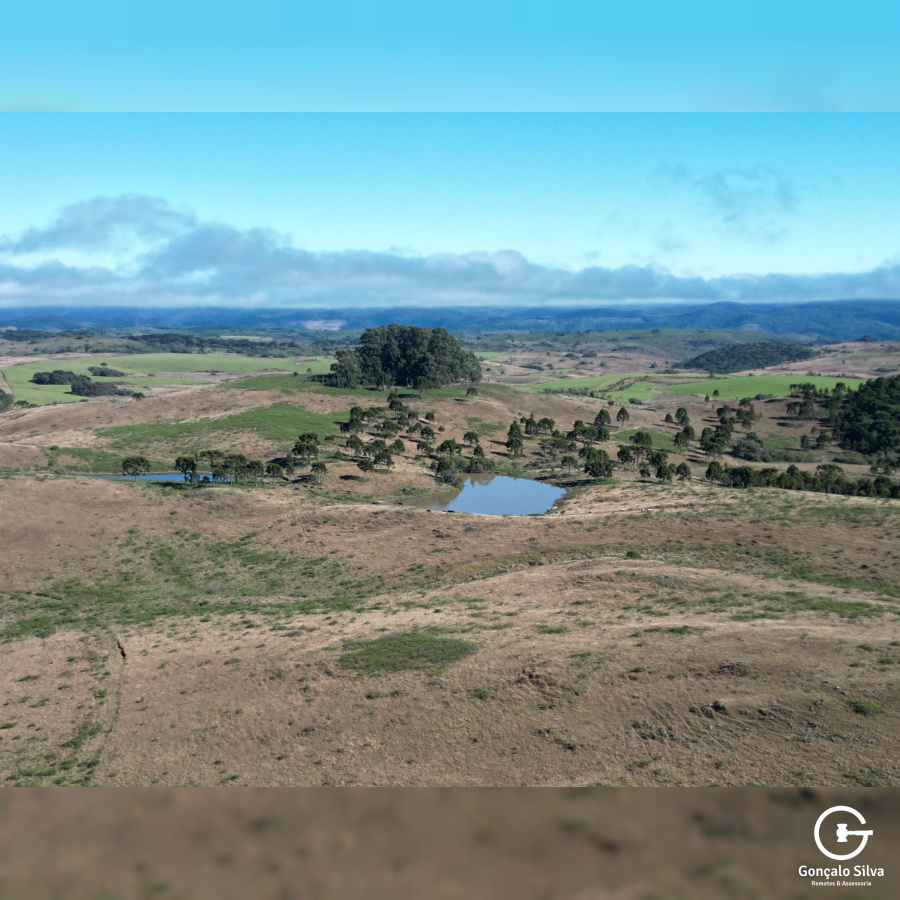 Área Rural com 535 Hectares em Santa Catarina.
