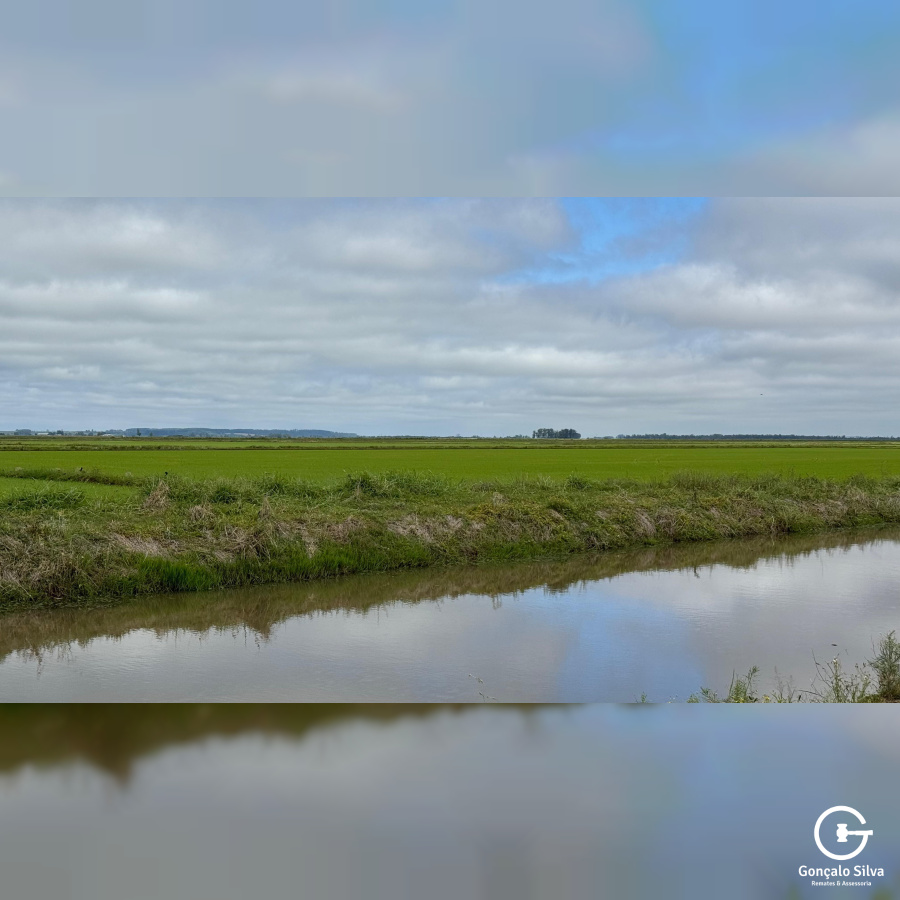Área com 223 Hectares em Eldorado do Sul