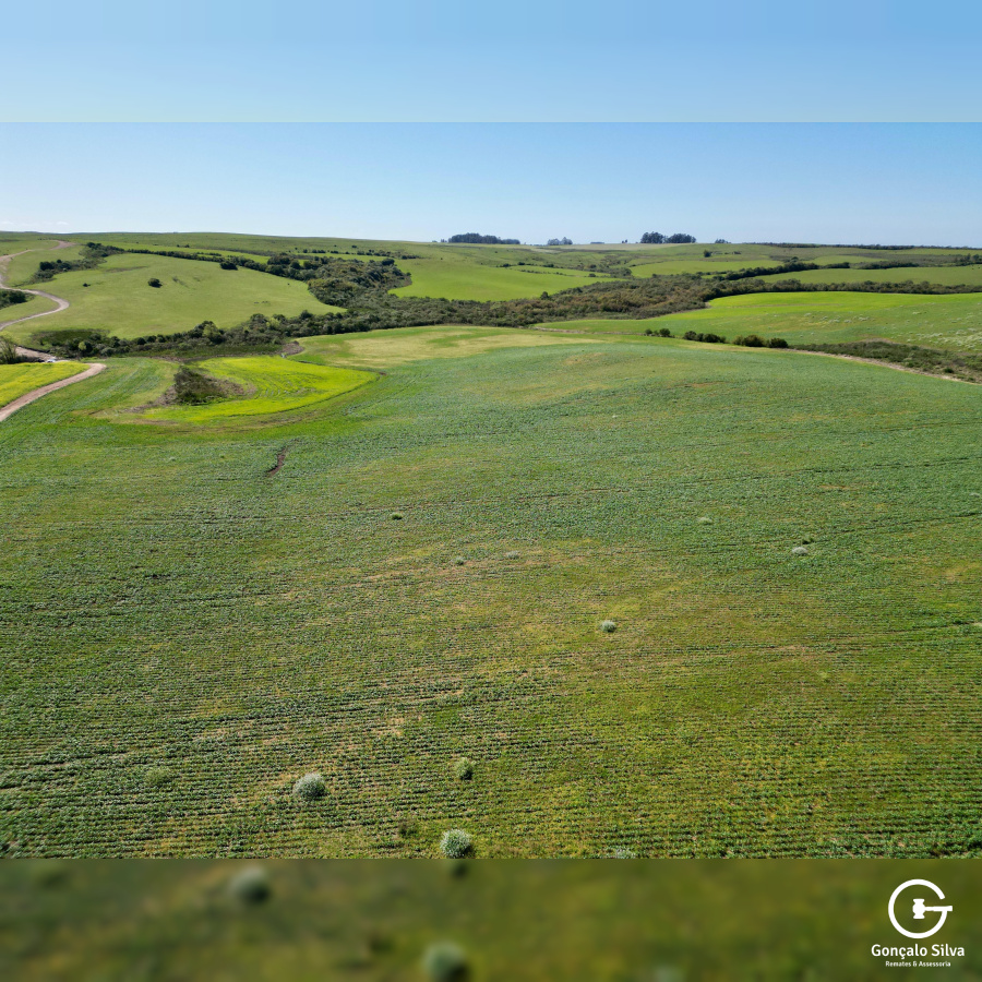 Área Rural com 77 Hectares em Lavras do Sul