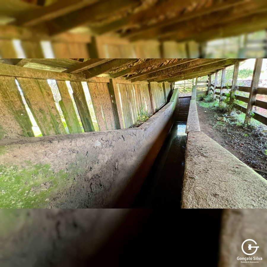 Fazenda com 277 Hectares em São Francisco de Paula