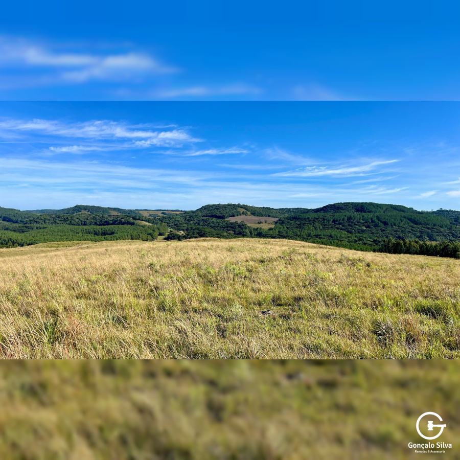 Fazenda com 425 Hectares em Caxias do Sul