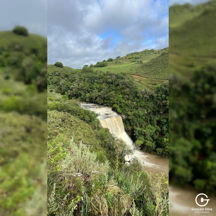 Área de 91 Hectares em Vacaria