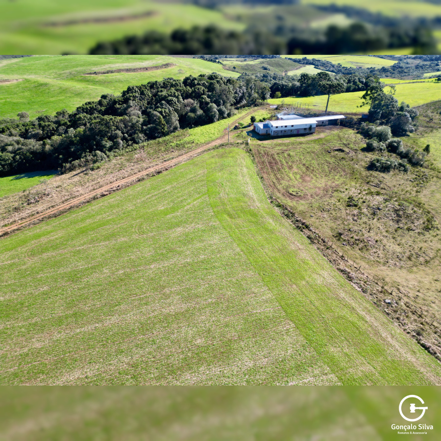 Área Rural com 90 Hectares em Esmeralda