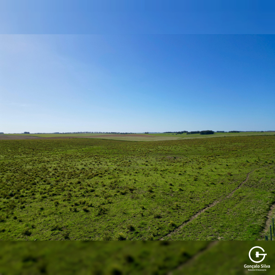 Área rural com 200 Hectares em Aceguá