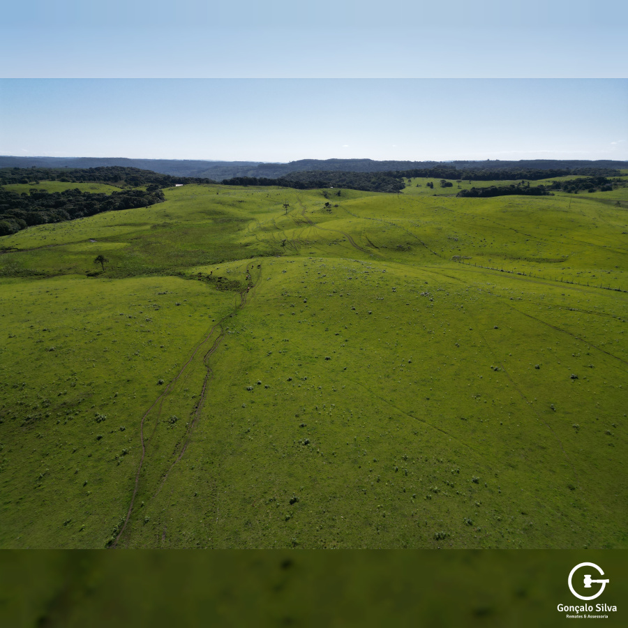 Fazenda com 223 Hectares em São Francisco de Paula