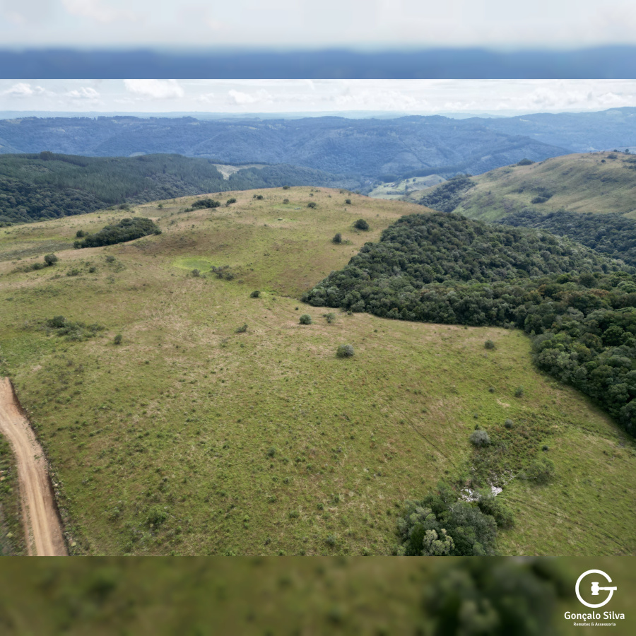 Área de 450 Hectares em Jaquirana