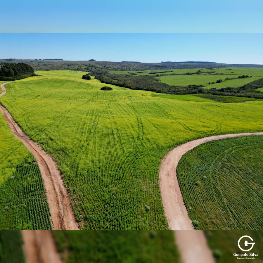 Área Rural com 77 Hectares em Lavras do Sul