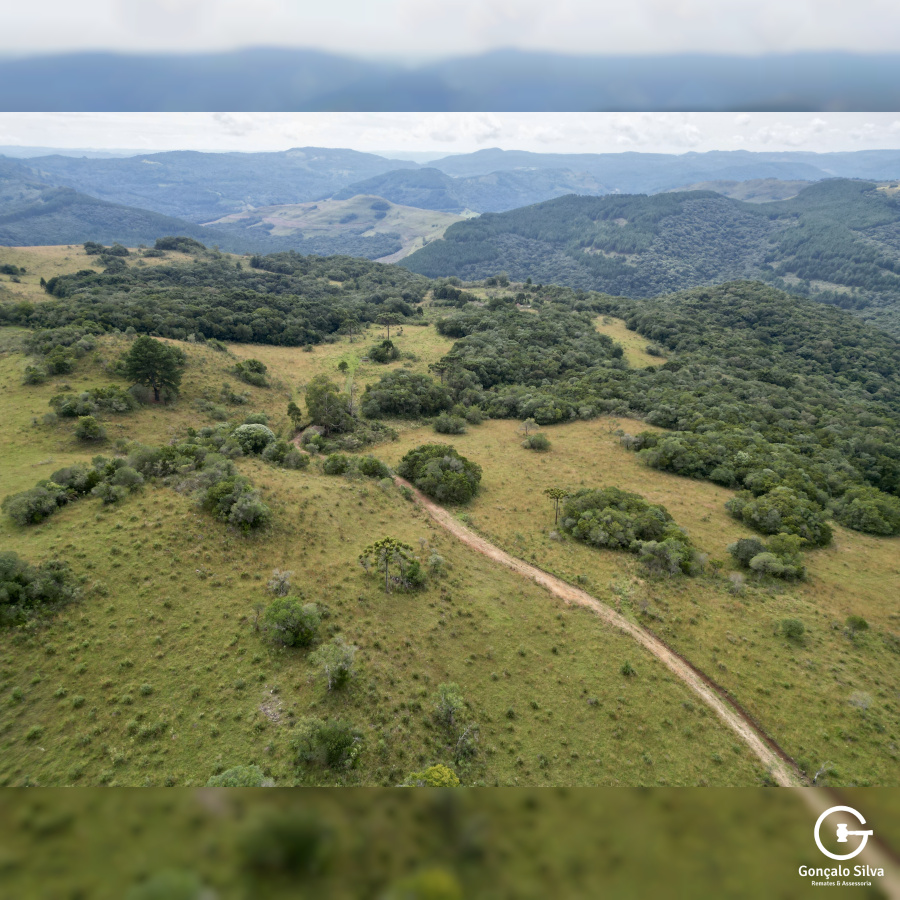 Área de 450 Hectares em Jaquirana