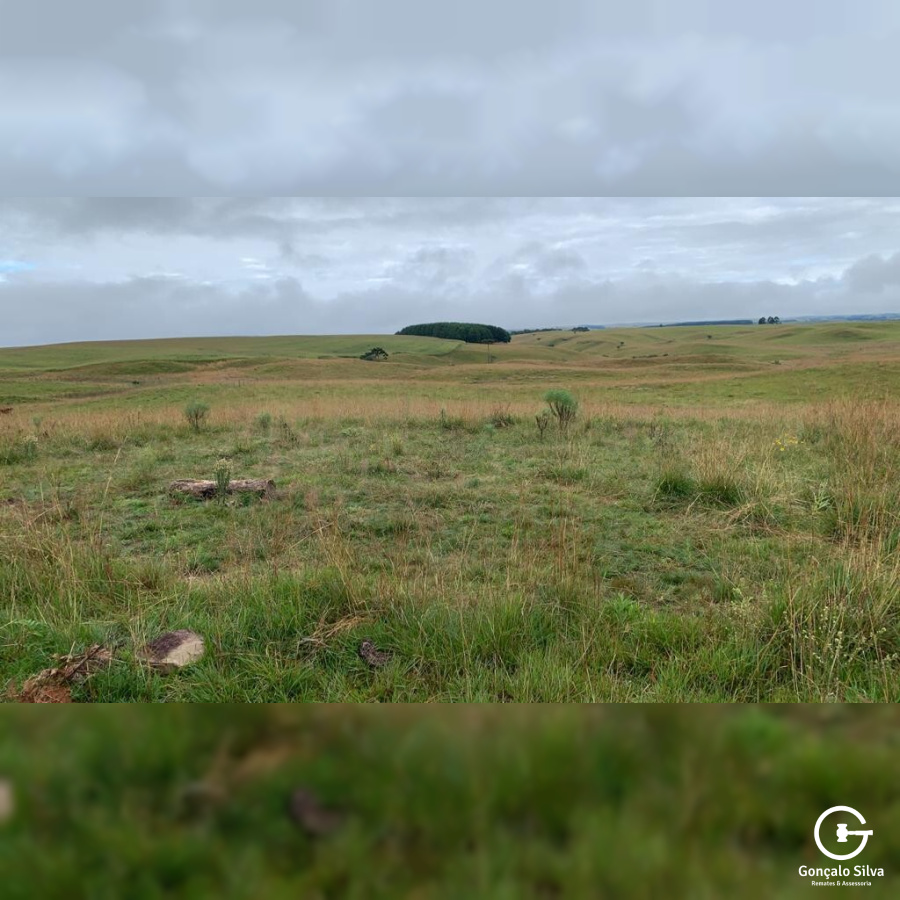 Fazenda com 828 Hectares em Jaquirana
