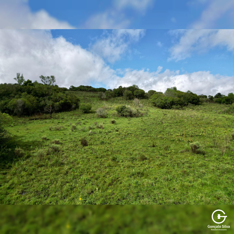 Área de 91 Hectares em Vacaria