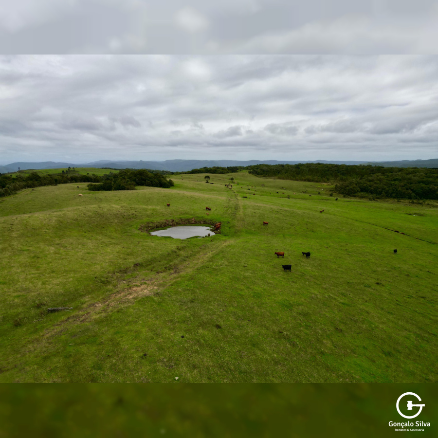 Fazenda de 445 Hectares em Riozinho