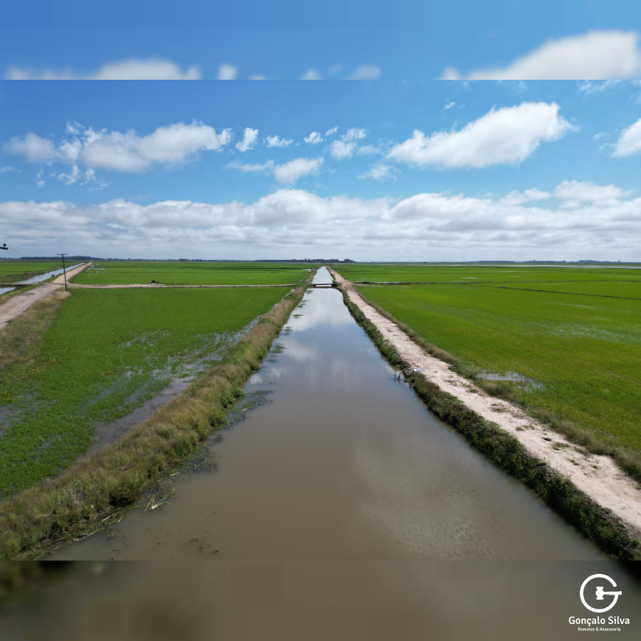 Área com 223 Hectares em Eldorado do Sul