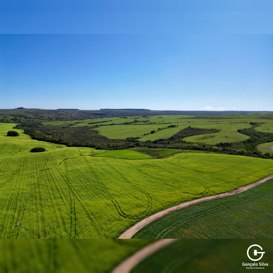 Área Rural com 77 Hectares em Lavras do Sul