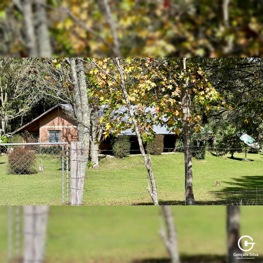 Fazenda com 425 Hectares em Caxias do Sul