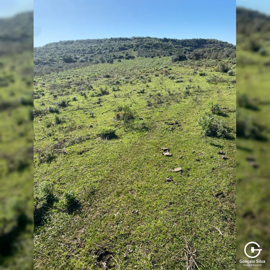 Fazenda com 712 Hectares em Sant'ana do Livramento