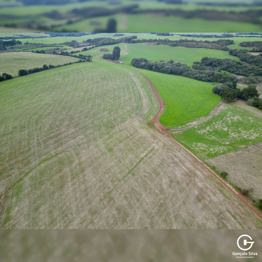 Área rural com 52 Hectares em Vacaria