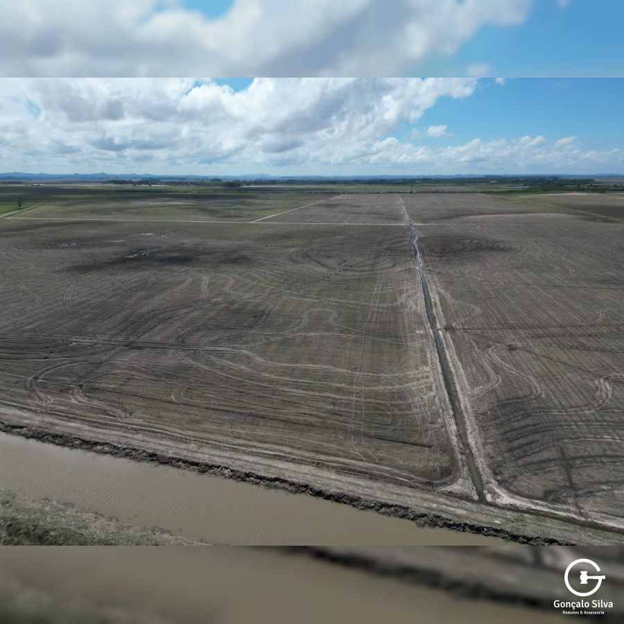 Área Rural com 132 Hectares em Tapes