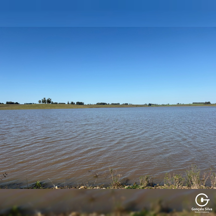 Fazenda com 355 Hectares em Candiota/Bagé