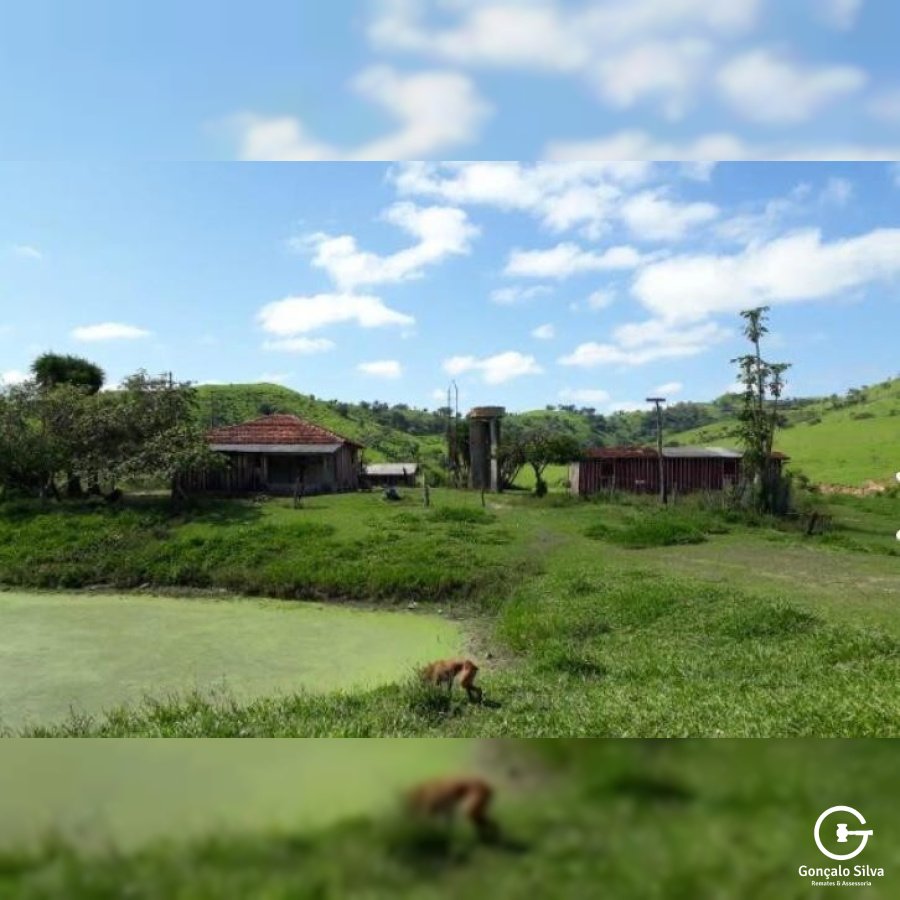 Fazenda no Paraná com 339 Hectares