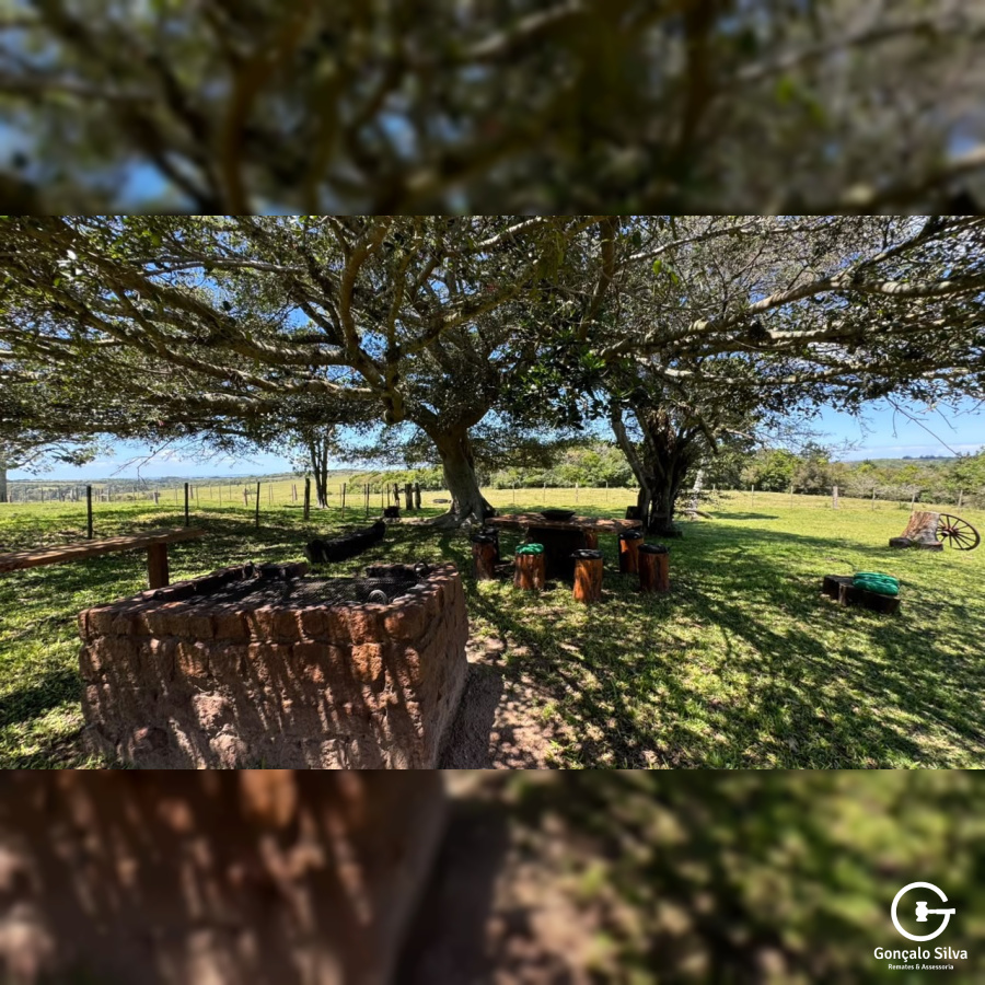 Fazenda com 97 Hectares, com estrutura para cabanha a 1H de POA