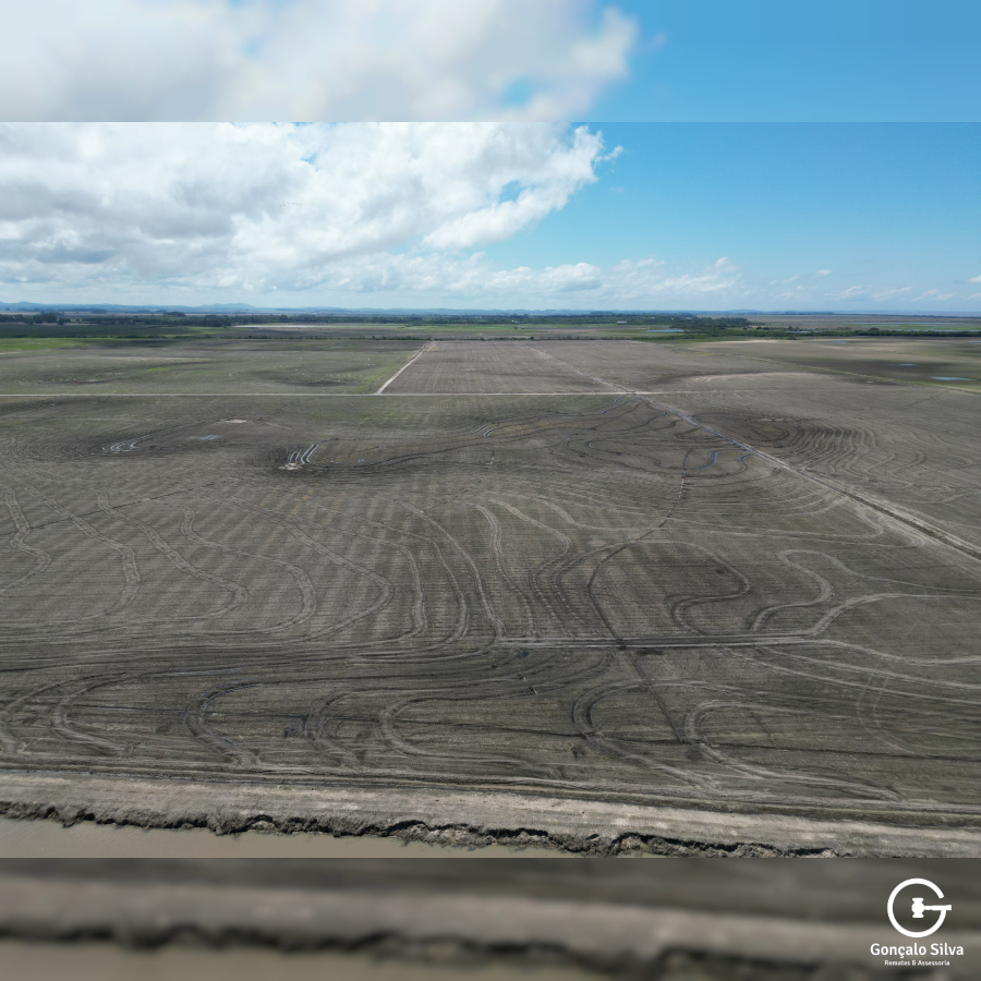 Área Rural com 132 Hectares em Tapes