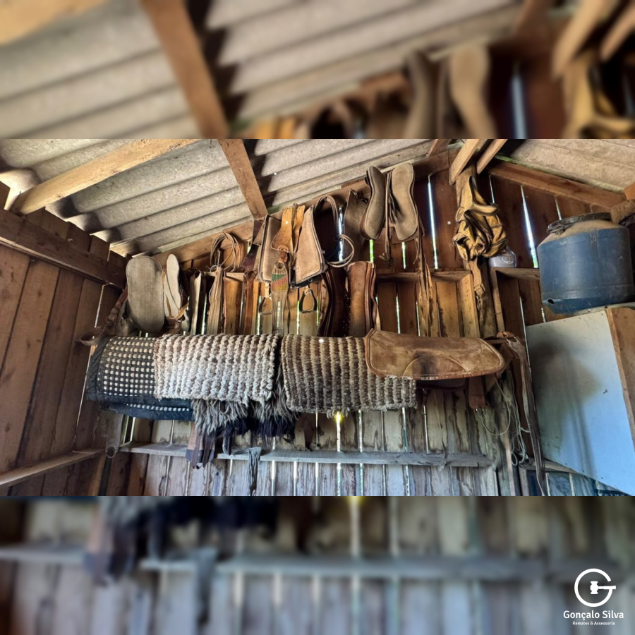 Fazenda com 223 Hectares em São Francisco de Paula