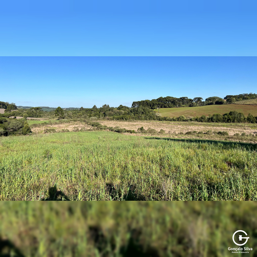 Área com 15,5 Hectares em Vacaria