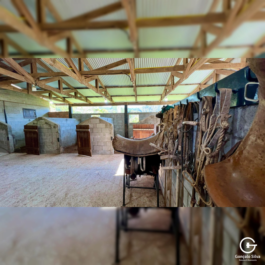 Propriedade Rural com 24 Hectares na Serra Gaúcha