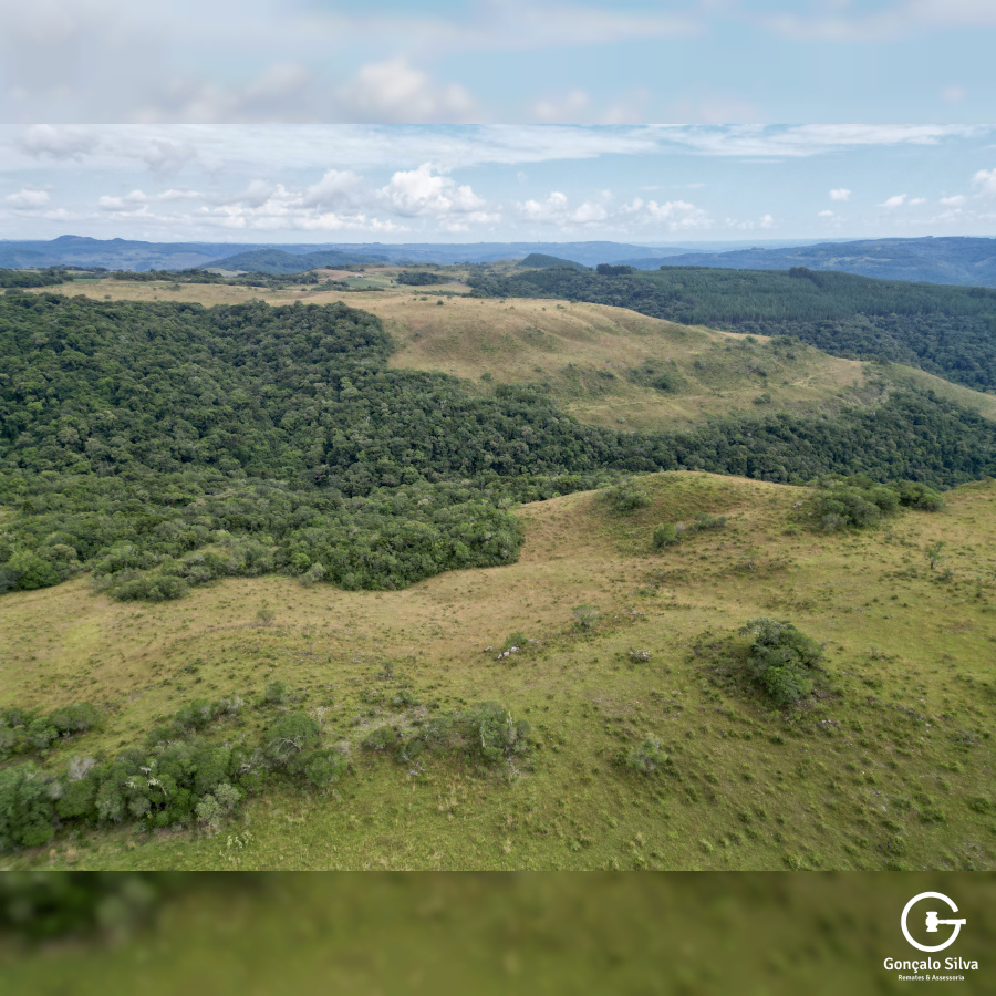 Área de 450 Hectares em Jaquirana