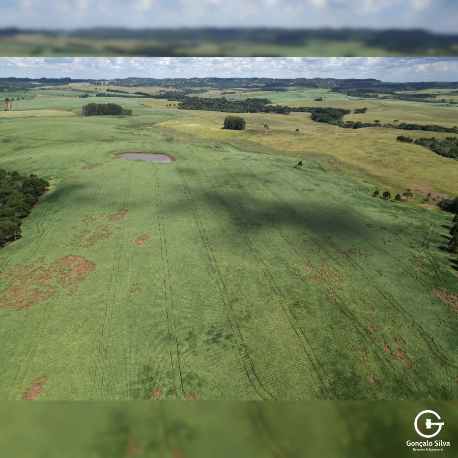 Fazenda de 166 Hectares em Muitos Capões