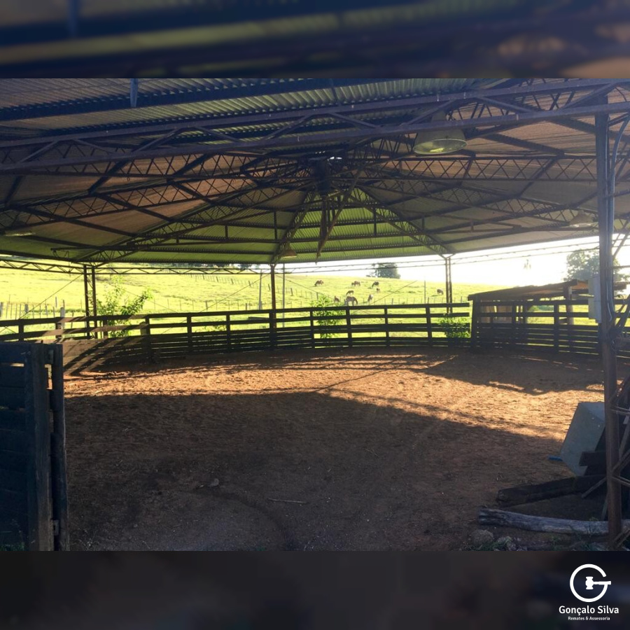 Cabanha montada com 4 Hectares próxima a Presidente Lucena