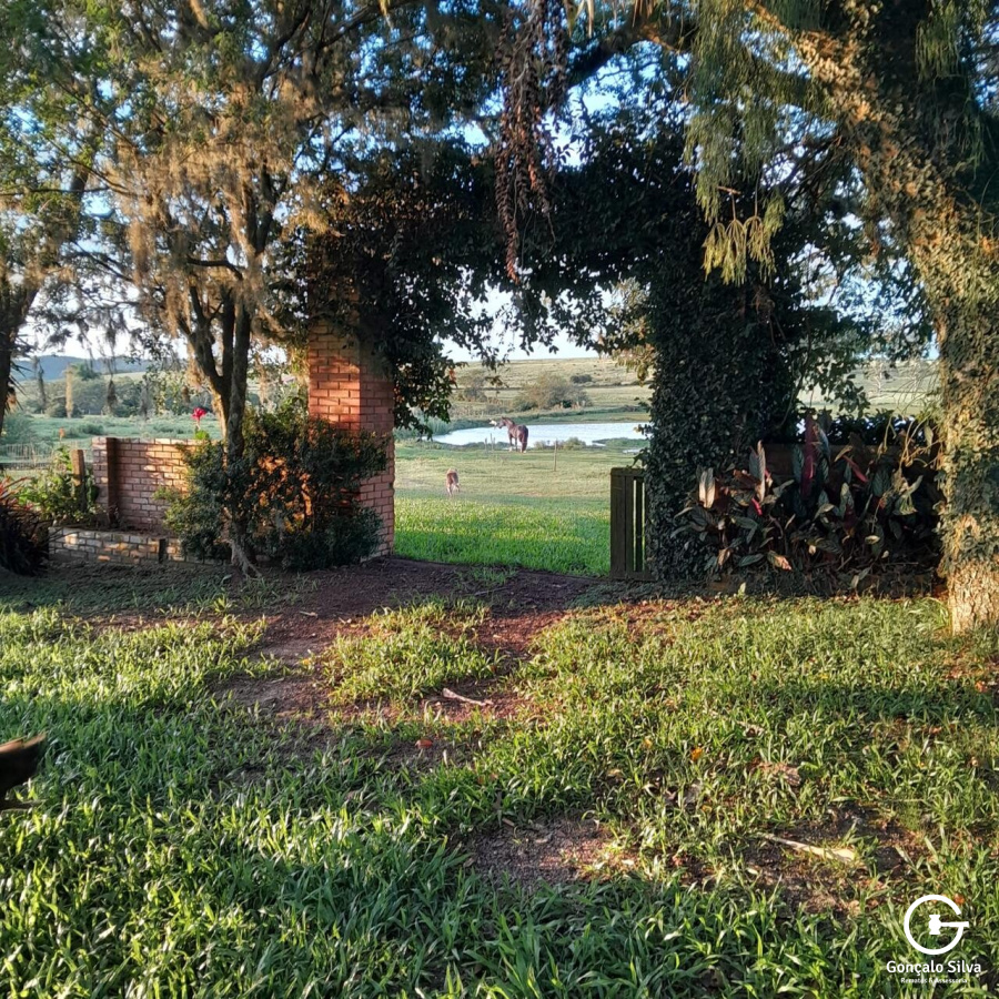Fazenda com 98 hectares em Viamão, Águas Claras