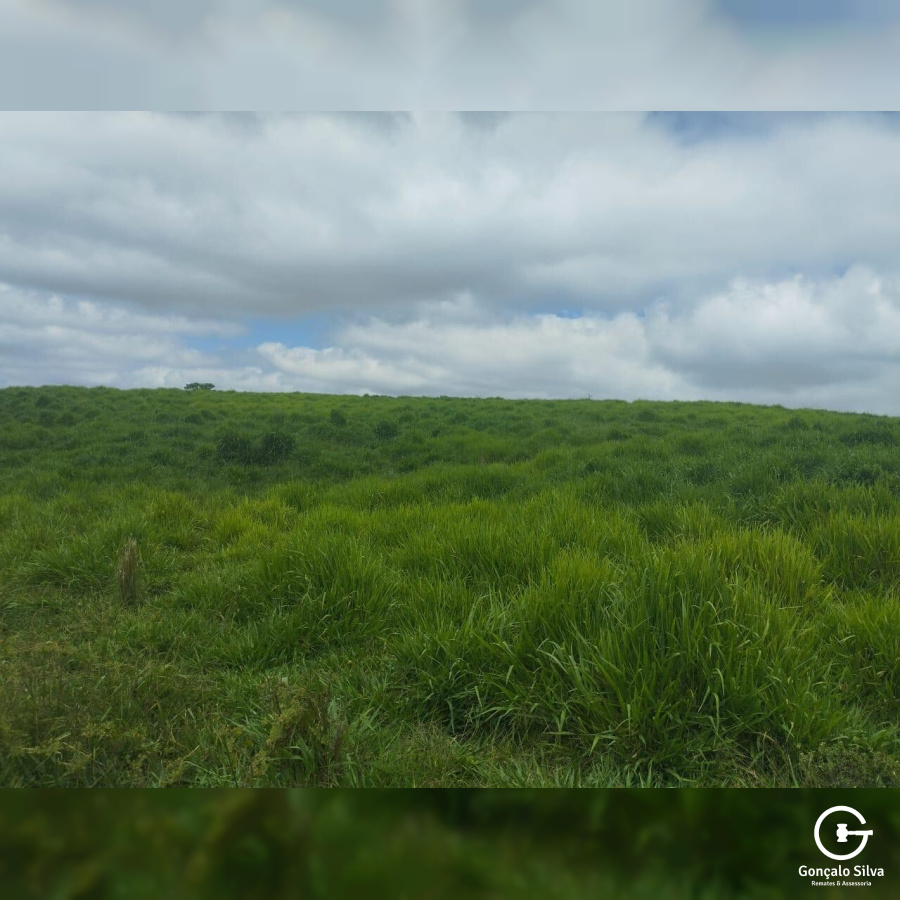 Fazenda no Paraná com 332 Hectares