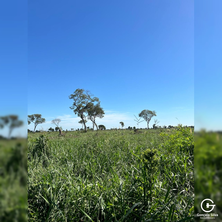 Fazenda com 5.022 Hectares em Aquidauna