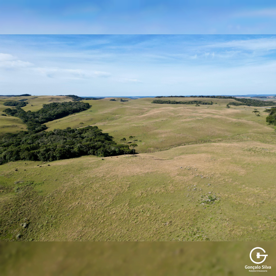Fazenda com 425 Hectares em Caxias do Sul