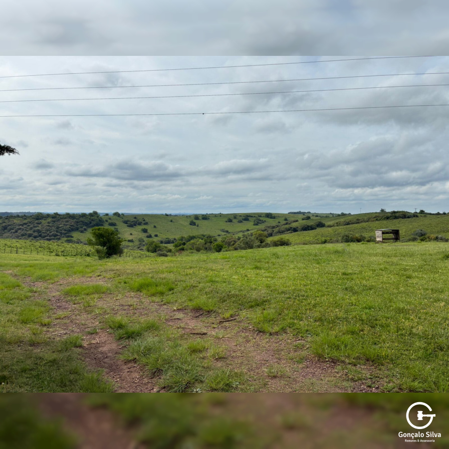 Fazenda com 1.300 Hectares região da Fronteira 