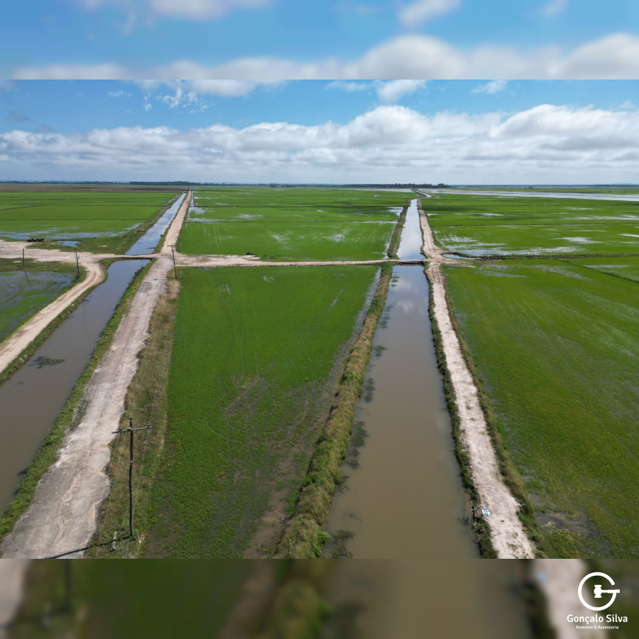 Área com 223 Hectares em Eldorado do Sul