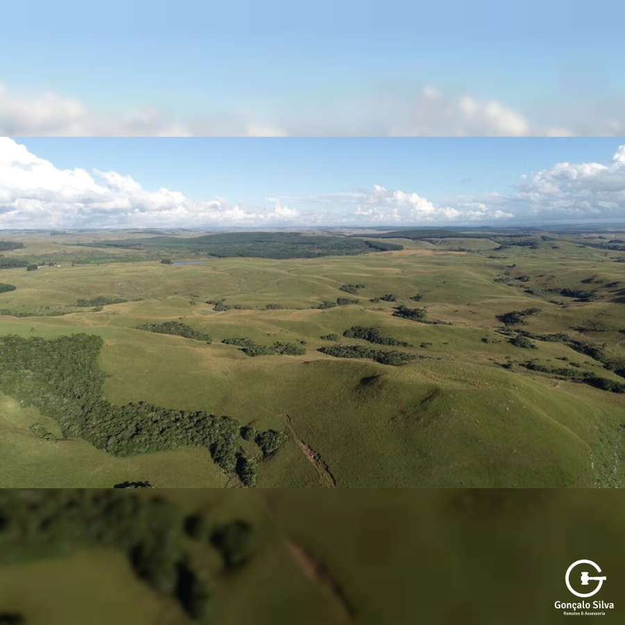Fazenda com 828 Hectares em Jaquirana