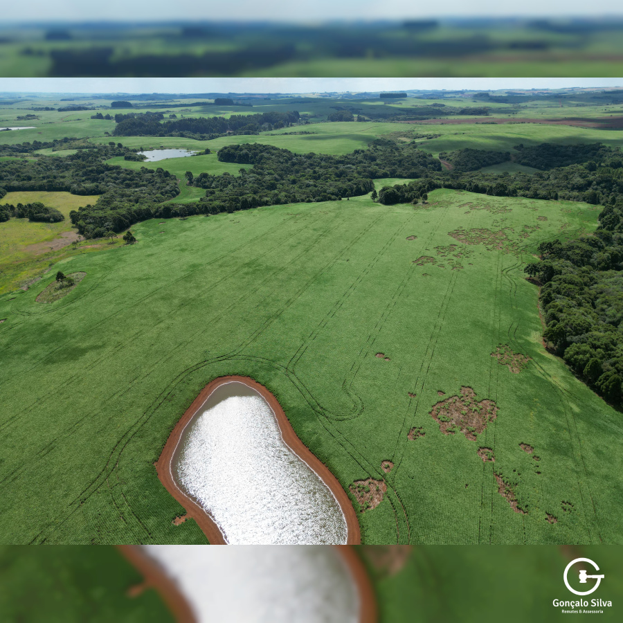 Fazenda de 166 Hectares em Muitos Capões