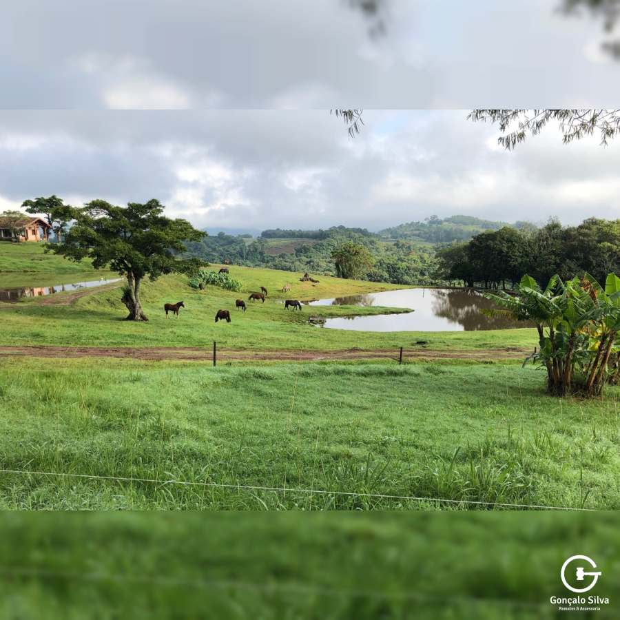Cabanha montada com 4 Hectares próxima a Presidente Lucena