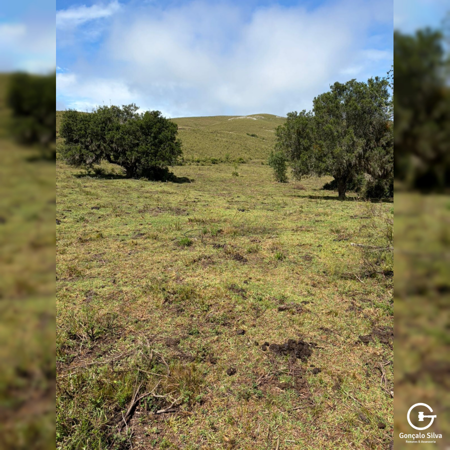 Área rural com 115 Hectares em Candiota