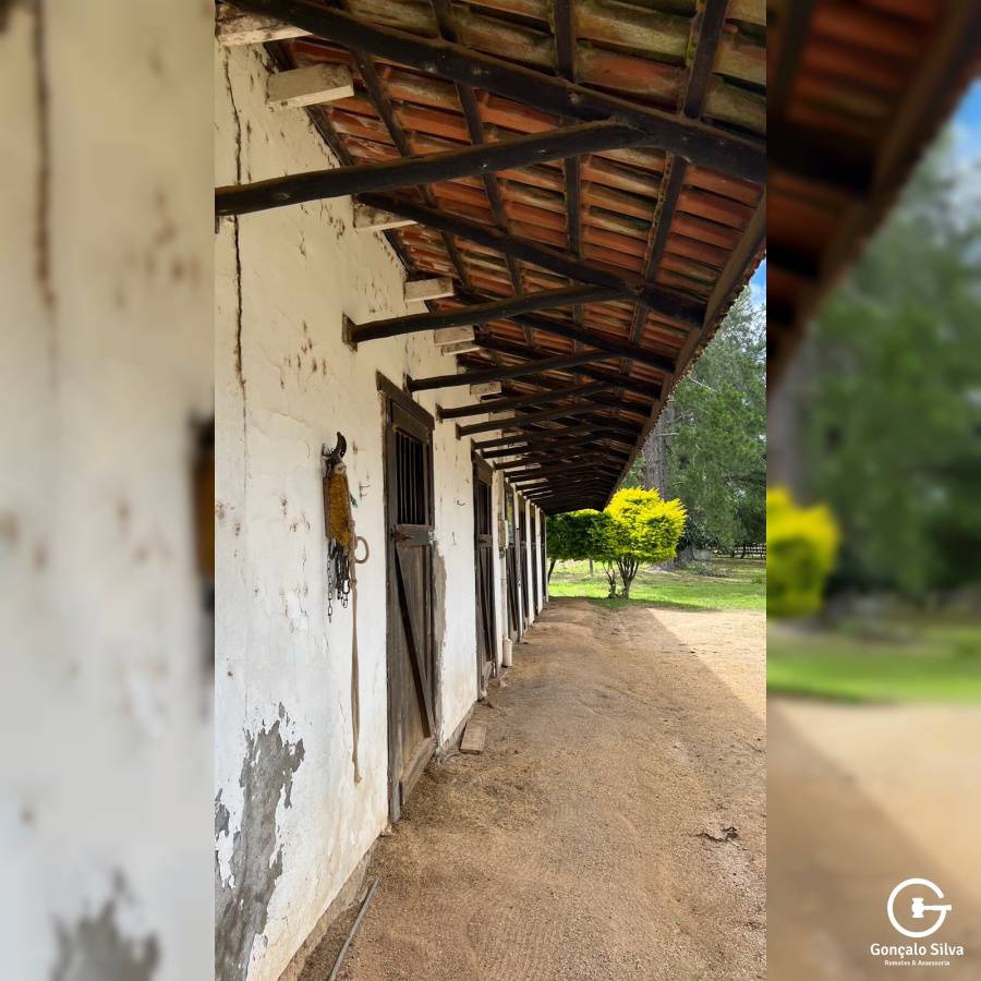 Área com 06 Hectares para Cabanha ou C. de Treinamento