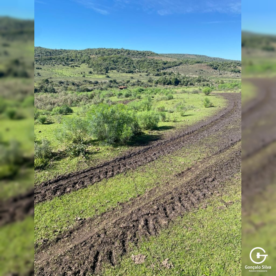 Fazenda com 712 Hectares em Sant'ana do Livramento
