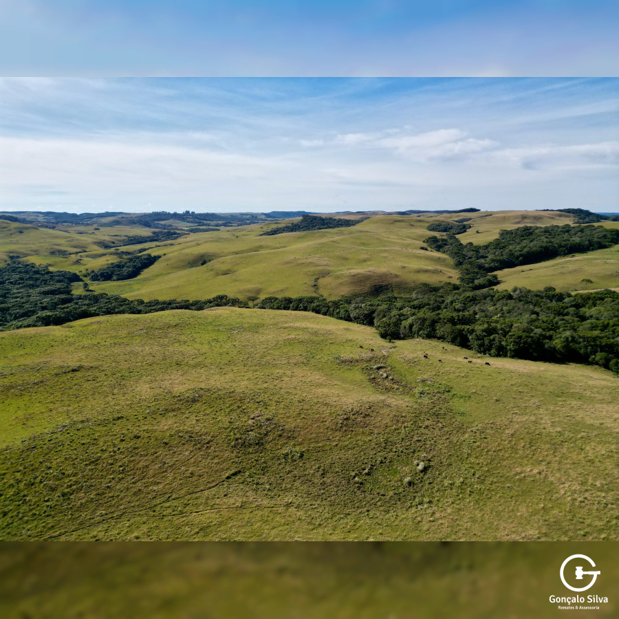 Fazenda com 425 Hectares em Caxias do Sul