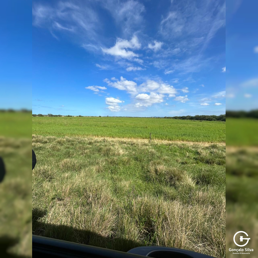 Sítio com 86 Hectares em Santa Catarina, excelente  lugar