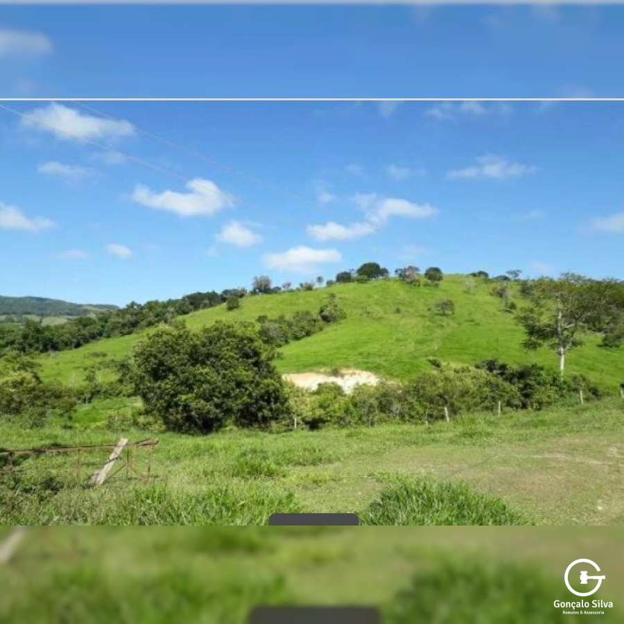 Fazenda no Paraná com 339 Hectares